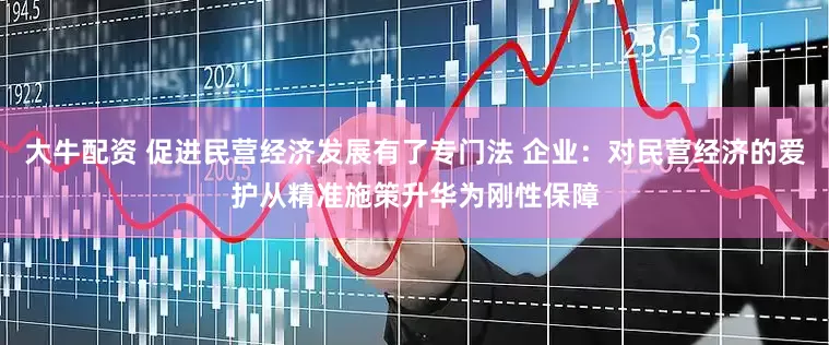大牛配资 促进民营经济发展有了专门法 企业：对民营经济的爱护从精准施策升华为刚性保障