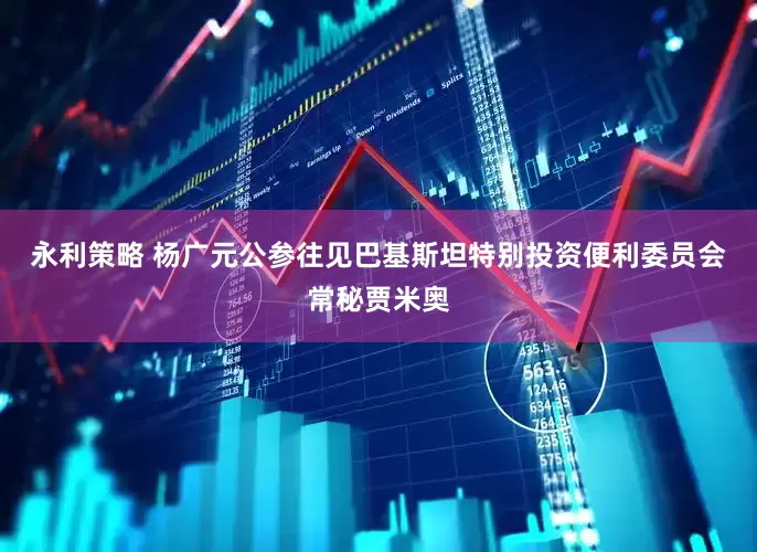 永利策略 杨广元公参往见巴基斯坦特别投资便利委员会常秘贾米奥