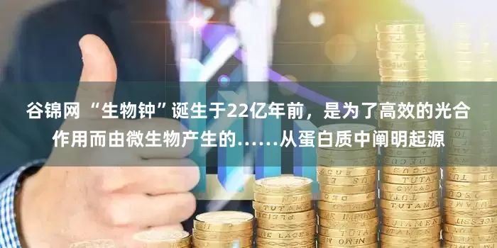 谷锦网 “生物钟”诞生于22亿年前，是为了高效的光合作用而由微生物产生的……从蛋白质中阐明起源