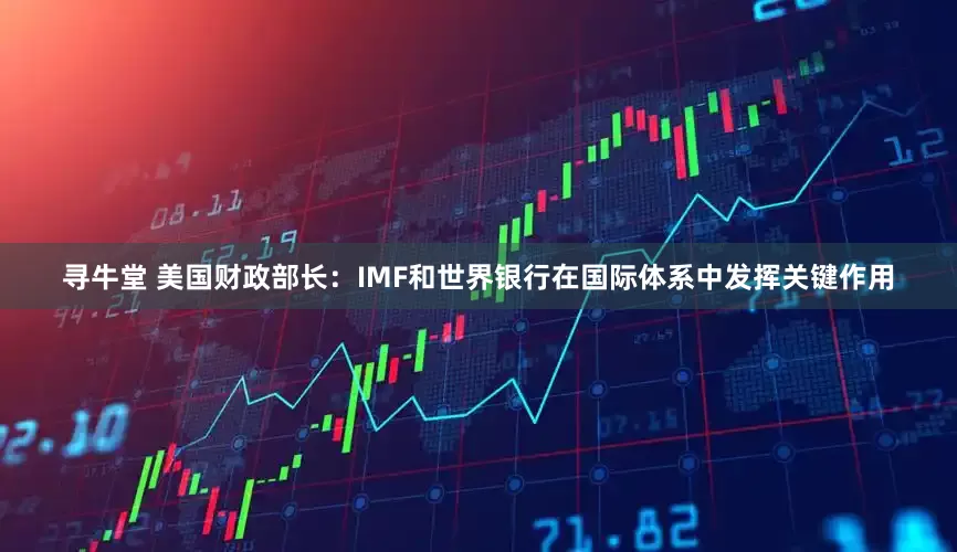 寻牛堂 美国财政部长：IMF和世界银行在国际体系中发挥关键作用