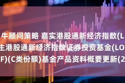 牛顾问策略 嘉实港股通新经济指数(LOF)C: 嘉实恒生港股通新经济指数证券投资基金(LOF)(C类份额)基金产品资料概要更新(2025年06月16日)